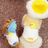 Лето Тонкий домашний уткл