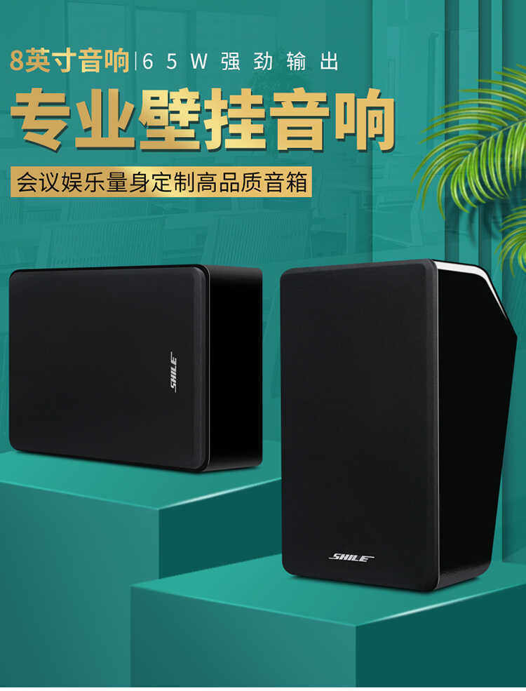 Мультимедийная акустика 狮乐(shile) ok-555c+bg-8 专业小型会议室音响组合店铺背景音乐 Lion Music