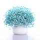 Large long bouquet of gypsophila dried flowers, decorative ornaments for home living room and bedroom, naturally air-dried with vase