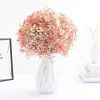 Pro Two -Color Star (розовый+белый)+yunrong Vase