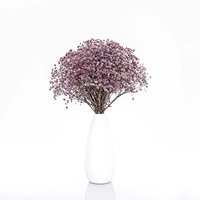 Фиолетовые звезды + изысканная ваза