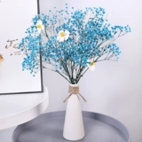 Юньнань Человек Тяньсинг 揖 Истинный 满 имеет свежее украшение, полное звездного, естественного 绺