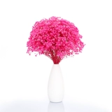 Полный тиансинг сухой цветок True Flower Букет свежий домашний декора