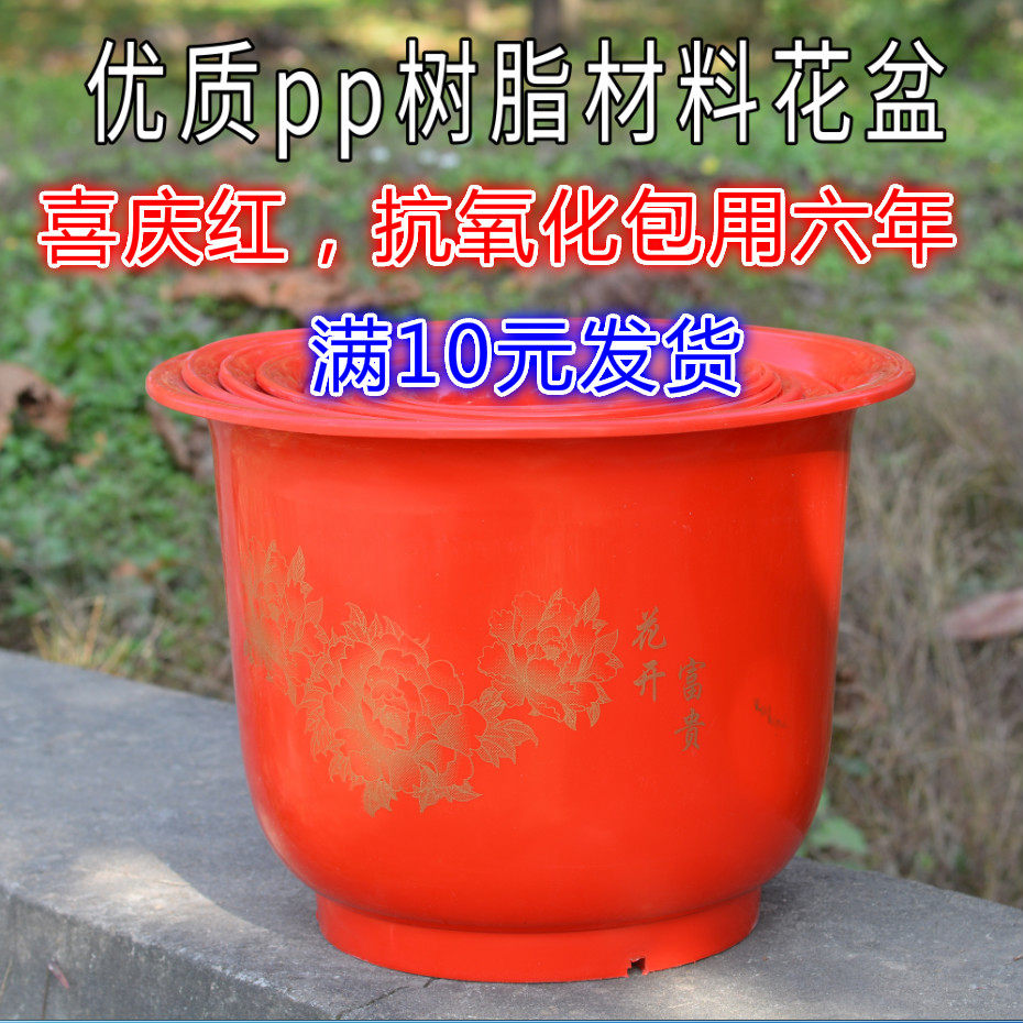 Special No. 1 plastic flower pot flowers open rich and festive red quality PP resin environmental protection AA potted ground table top