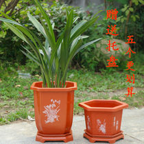 High tube long orchid flower pot special pot plastic basin hexagonal gentleman square pot octagonal basin special clearance