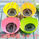 9 simple thickened resin plastic flower pots hanging pots hanging pots hanging orchid color hanging flower pots green radish and succulent