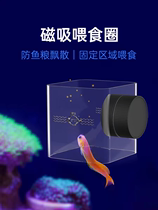 亚克力鱼缸磁吸喂食圈水族箱喂鱼器防浑浊乱漂小型