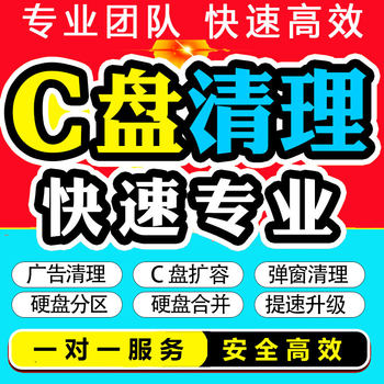 Computer Repair, Remote C Drive Cleaning and Expansion, Desktop and Laptop Disk Partitioning, Rogue Software, Pop-Up Ads