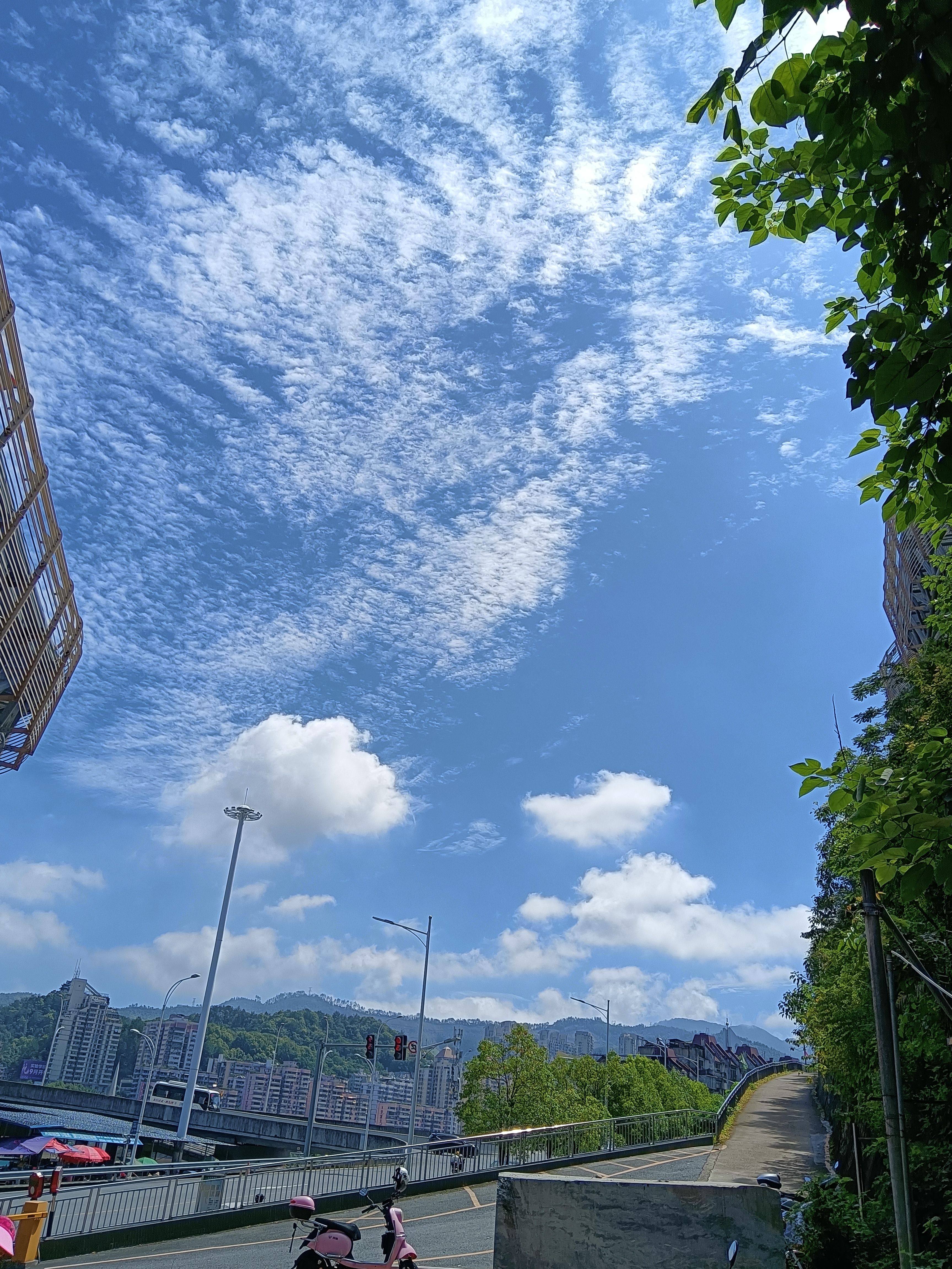 山丫头电器