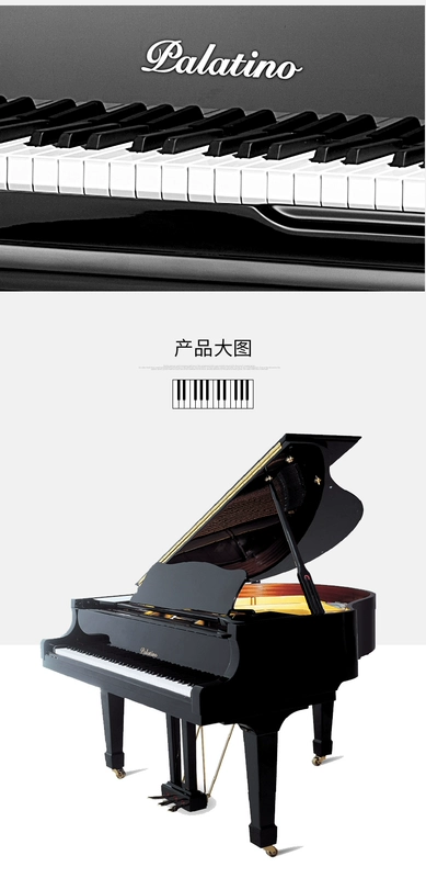 Palatino GP59 Palatino grand piano dành cho người lớn 88 phím chuyên nghiệp chơi piano chính thức mới - dương cầm