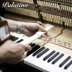 Palatino S23R Palatino piano thẳng đứng dành cho người lớn thử nghiệm đàn piano tại nhà - dương cầm