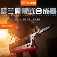 Roland Axe-Edge Roland Batter Back Synthery 49-ключ Комбат-Шинер