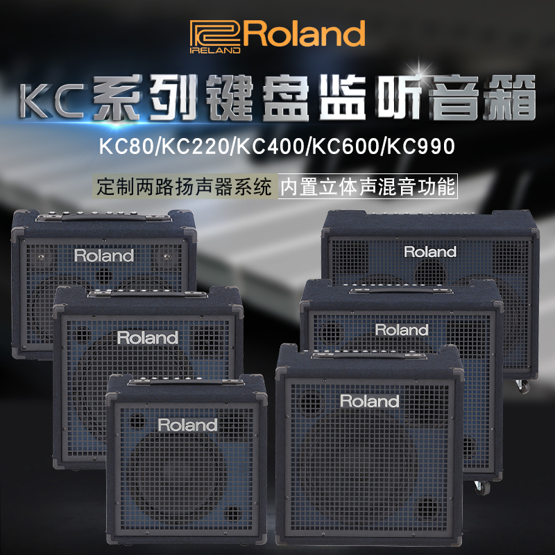 Roland Roland KC220400 KC600 KC990 Stereo Keyboard Monitor speaker multi-function speaker