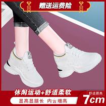 Wen Lijin Footwear Commercial Bank Wolf Womens Shoes Lecarkington Flying Breathable Leisure Sneakers Womens Increased Daddy Shoes