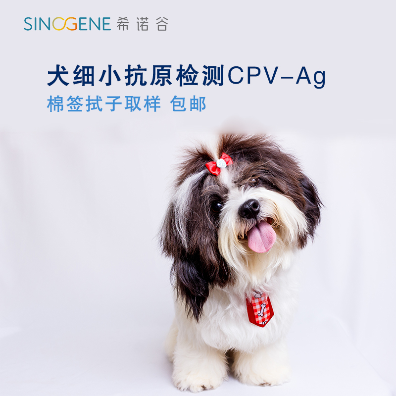 Dog small antigen virus detection Ag pooch small antigen CPV-Ag dog infectious disease virus detection-Taobao
