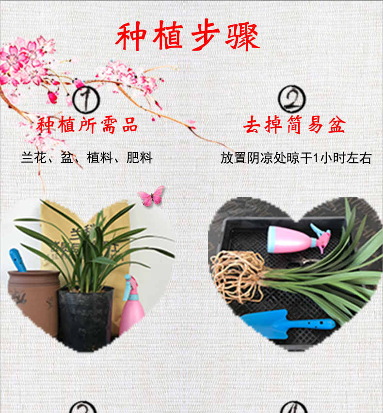Ceramsite hữu cơ tính khí nguồn cung cấp vườn phong lan đất chậu hoa đáy dưới chậu thoát nước hạt hoa màu xanh lá cây thực vật bộ dụng cụ làm vườn