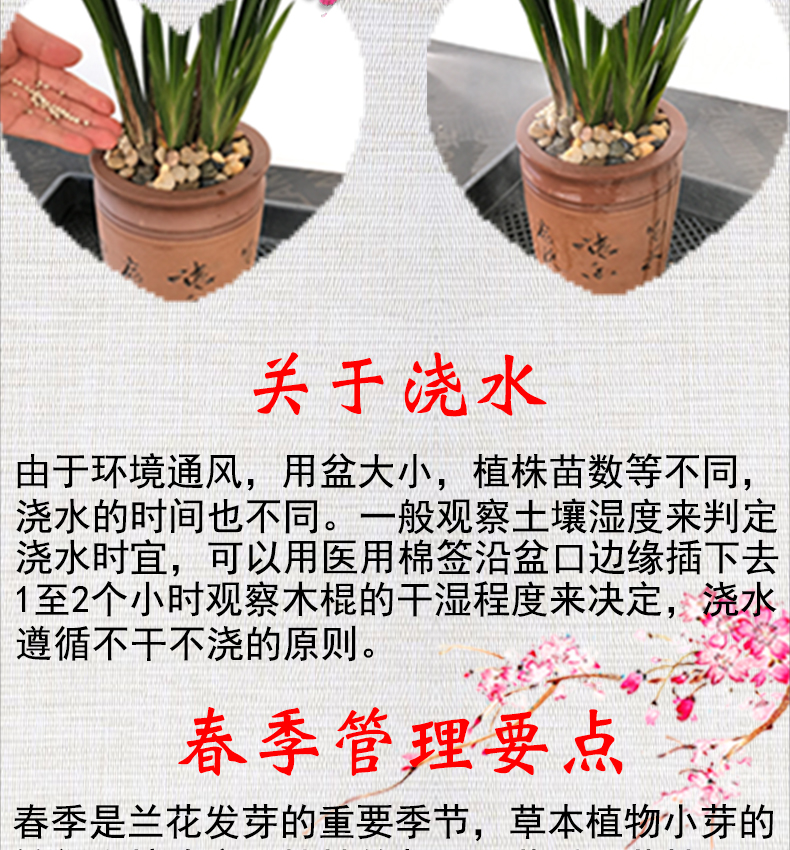 Ceramsite hữu cơ tính khí nguồn cung cấp vườn phong lan đất chậu hoa đáy dưới chậu thoát nước hạt hoa màu xanh lá cây thực vật bộ dụng cụ làm vườn