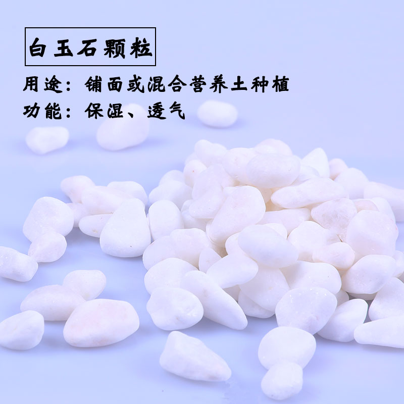 Vật liệu làm vườn hoa lan, ngọc trắng trang trí vật tư, chậu thủy canh trang trí thịt vòi tưới lan