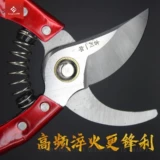 亨坤 Магазин, ножницы, фруктовые деревья, филиалы, ножницы, инструменты для обрезки сада, ремонт садоводства цветочные ветви и ножницы