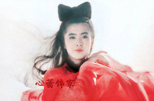 Extension cheveux - Chignon - Ref 235115 Image 9