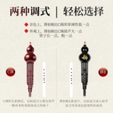 Этнические профессиональные музыкальные инструменты для начинающих для школьников для взрослых