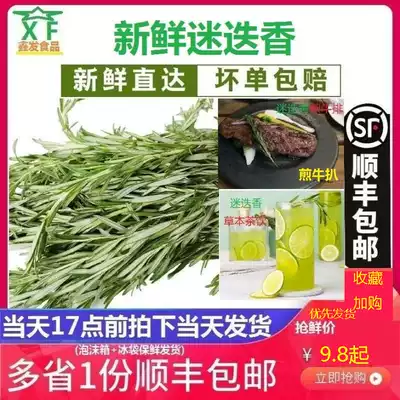 Fresh rosemary Fan Di Xiang Lost fragrant mystery Di Xiang Western restaurant steak with edible spices Western spices