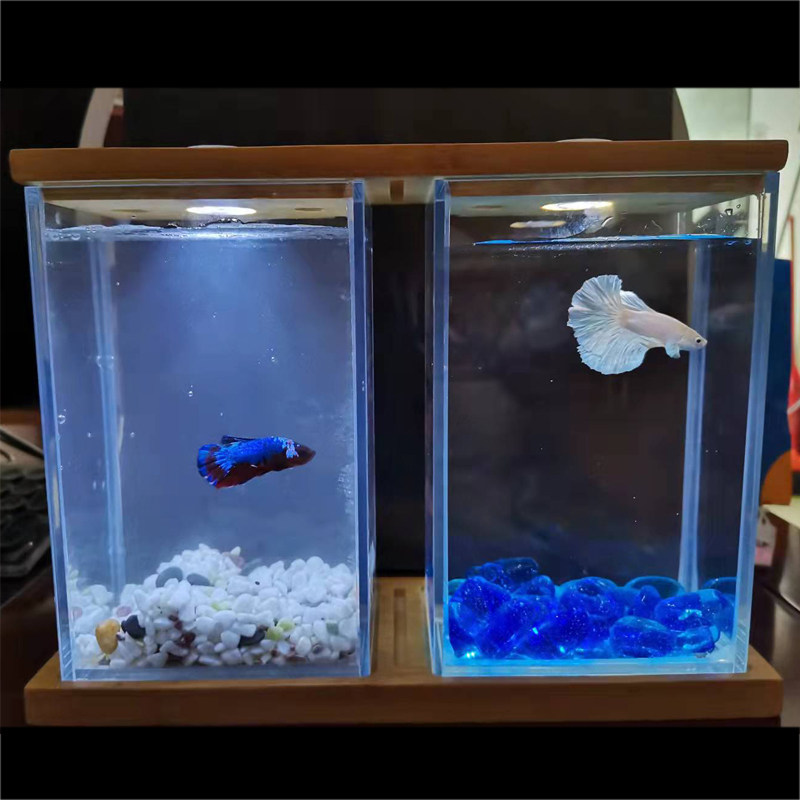 Creative Office Desktop Small Fish Tank Thai Bucket Fish Tank Super White Glass Double Cylinder Microscape Tropical Fish Tank Special Fish Tank