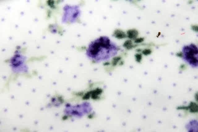 Pantalon pyjama - Ref 726019 Image 20