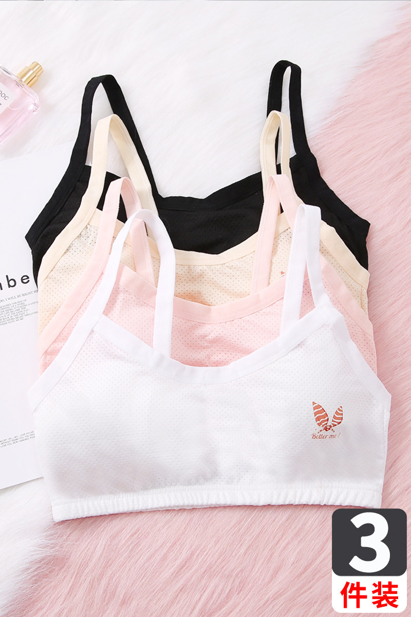 Lingerie Girl Summer thin Pure Cotton Small Vest Junior High School Girl's Breast Smear Style of Ventilated Air Hole Bra