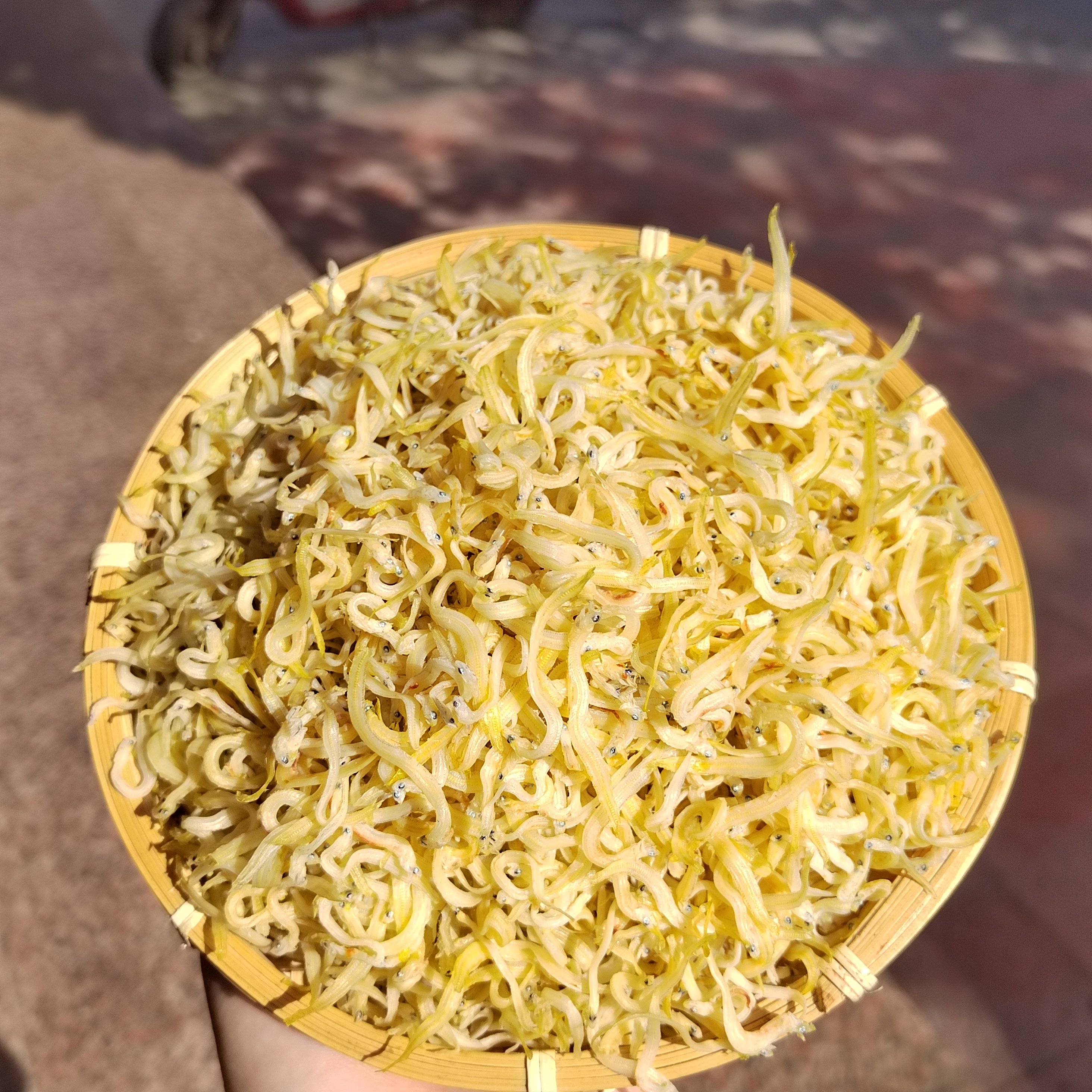 新晒银鱼干：宝宝辅食新宠，营养美味全家人共享！