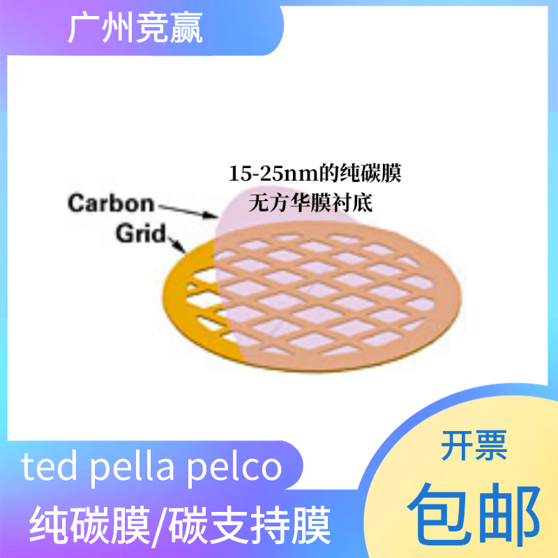tedpella PELCO TEM铜网支持膜200目纯碳膜碳支持膜01840无方华膜