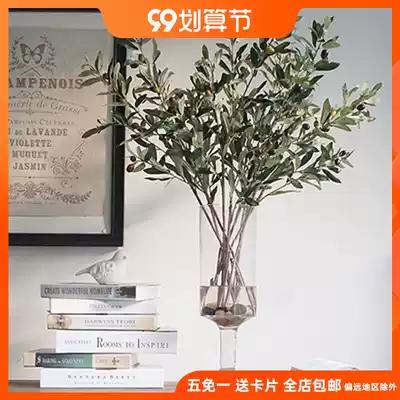 na home flower room, Nordic simple countryside, a few study simulation fake flower fruit green plant ornaments Sophia olive fruit