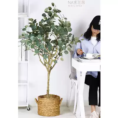 NA home greenhouse Nordic large floor-to-ceiling fake plant potted simulation fake tree olive decoration Indoor living room decoration