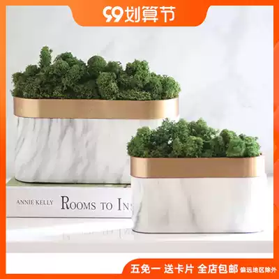 Nordic simulation plant decoration green moss fake potted simple office Model Room conference room table flower ornaments