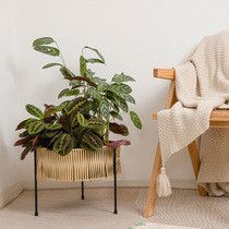 Nordic light luxury iron flower stand indoor living room simple home decoration floor-standing rattan storage rack flower pot bracket