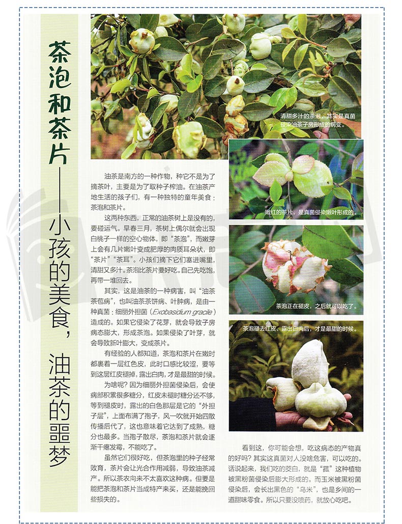 中国国家地理出品 《博物君式科普》 十年博物杂志精选 图8