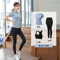 Синий черный бюстгалтер, комплект, штаны, короткий рукав