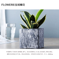 Đầy đủ của Bắc Âu hiện đại tối giản sáng tạo máy tính để bàn xi măng bình hoa văn phòng nhà vườn gió hoa làm vườn - Vase / Bồn hoa & Kệ chậu trồng lan