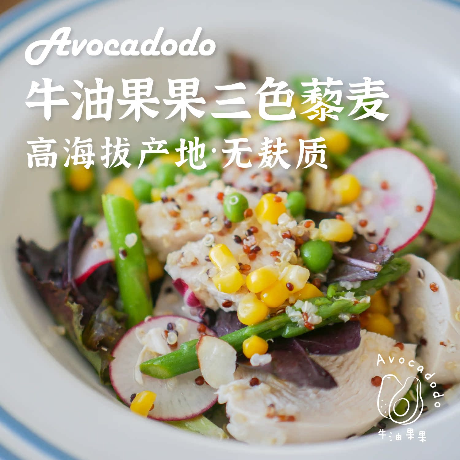 Tricolor Quinoa Rice Avocadodo Avocado Fruit Hashimoto Gluten-free Grains Low GIQuinoa500g Grains