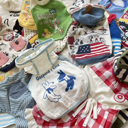 Обратный отсчет о закрытом магазине, чтобы вернуть старому клиенту из печатной одежды для домашних животных PP