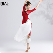 Qiya Classical Dance Performance Womens Long Elegant Rhyme Rhyme Dress Clothes Practice Chinese Style Folk Dance Performance Costume