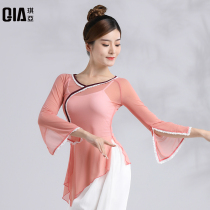 Qiya classical dance dress female elegant body rhyme gauze clothing practice elastic split Chinese folk dance costume