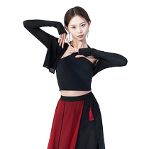 Chia Classical Dance Adult Dance Costumes Chinese Style Black Vest Long Sleeves Contrast Color Long Skirt Practice Clothes Performance Clothes