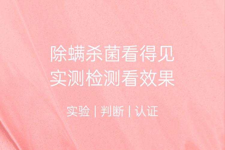 美的/MIDEA 家用无线除螨仪床上吸尘器紫外线除螨虫神器B5J 白色