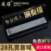Germany imported spring 24-hole harmonica Adult professional performance grade student accent 28-hole polyphonic C tone beginner