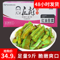  Zhuang Biao red oil moss vegetables 9 kg ready-to-eat crispy radish pickles spicy pickles Dried radish strips of green radish