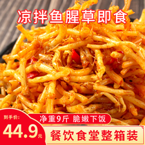 Zhuang Biao Houttuynia cordata in bulk 9kg folded ear root pickles commercial root food pickles kimchi cold mix ready to eat