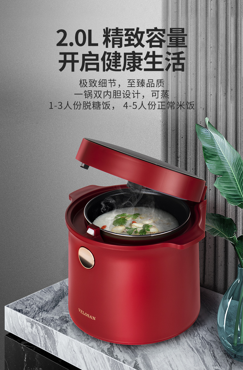 德国 韦诺森 Velosan 高颜值智能脱糖电饭煲 2L 图1