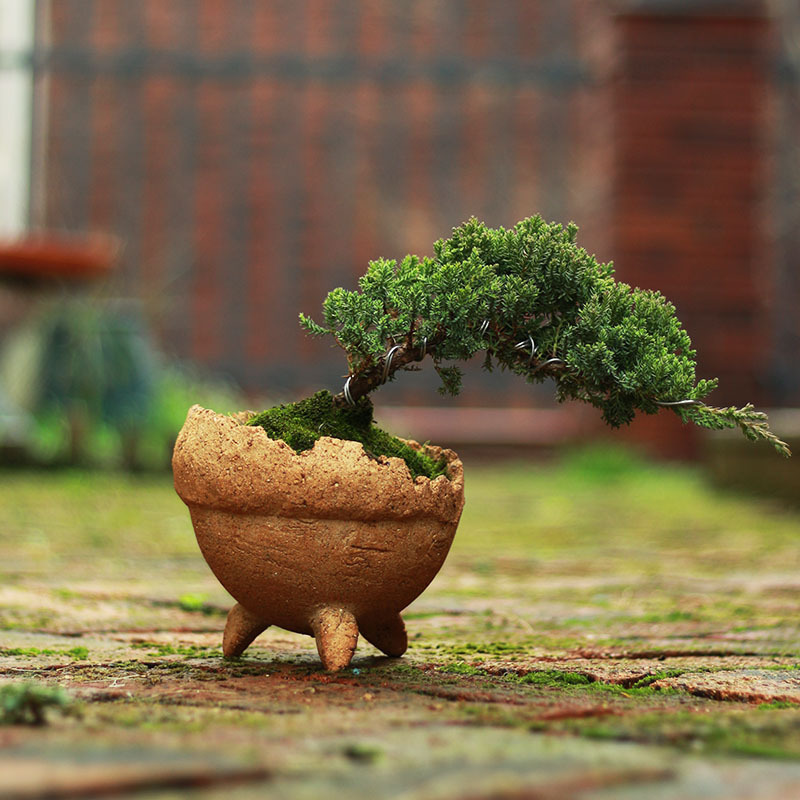 Jingdezhen Handmade Natural Color Burnt Clay Succulent Flower Pot, Breathable Coarse Pottery, Water-Absorbing Creative Three-Legged Ufo Flower Pot