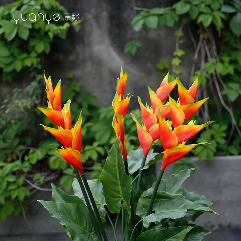 Pastoral Paradise Bird Fake Flower Simulation Flower Huangang Hangang Manufacturing Vanguana Peacock Flame Crane Tropical Plant